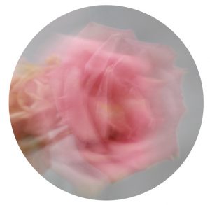 Transcendence flower series 2