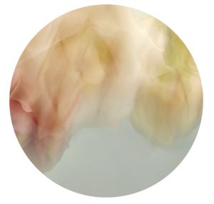 Transcendence flower series 1