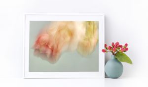 buy photography art online abstract flowers